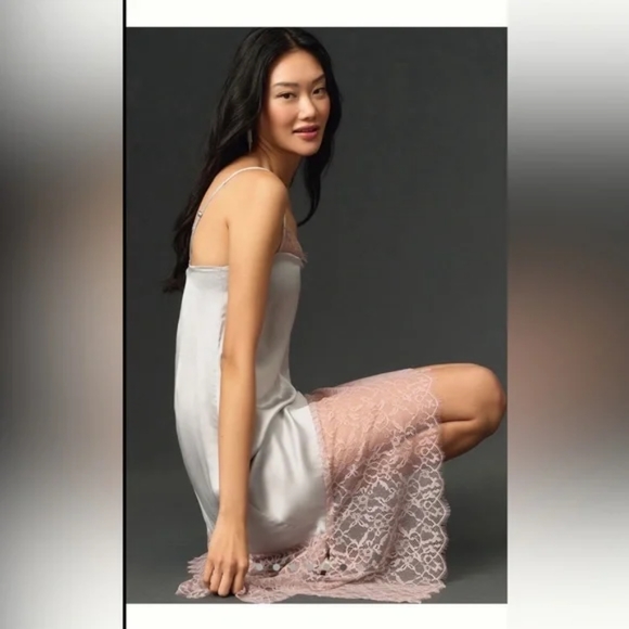 NWT Anthropologie Lace-Trimmed Dress Silver Size 8 - Picture 2 of 8